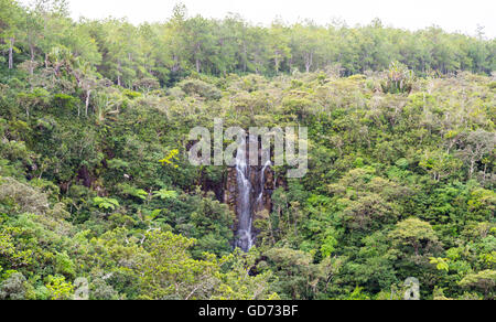 Alexandra Falls Wasserfall im Gorges Nationalpark-Mauritius. Stockfoto
