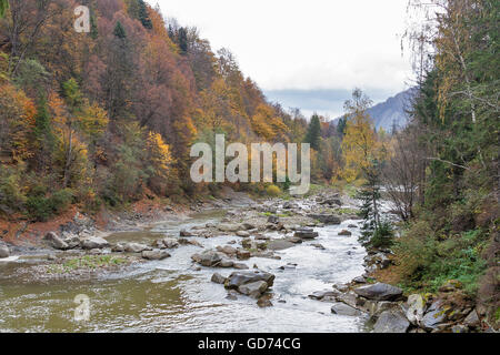 Karpaten Berge und den Fluss Prut im Herbst, Ukraine. Stockfoto