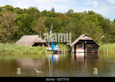 Bootshäuser am Mündungsgebiet Prerower Strom, Halbinsel Fischland-Darß-Zingst, Mecklenburg-Vorpommern Stockfoto