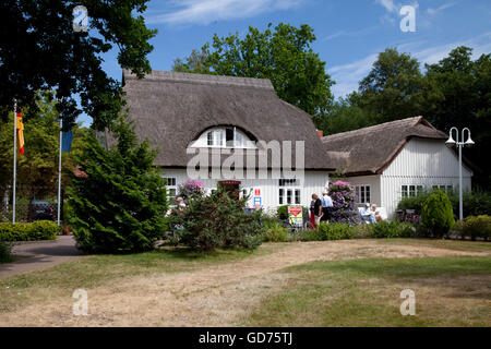 Tourist-Information, Reetdachhaus, Ostseebad Prerow, Halbinsel Fischland-Darß-Zingst, Mecklenburg-Vorpommern Stockfoto