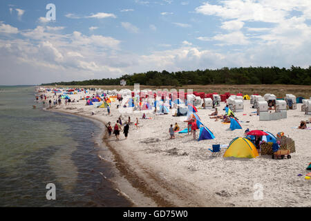 Strand, Ostseebad Prerow, Halbinsel Fischland-Darß-Zingst, Mecklenburg-Vorpommern Stockfoto