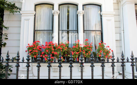 Englische Fenster mit Blumen Stockfoto