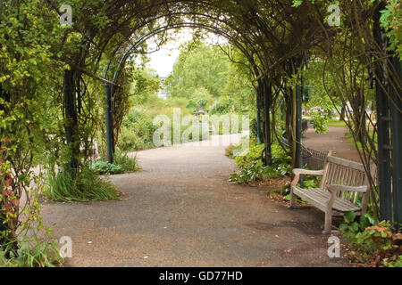 Sitzbank Hydepark im Sommer Stockfoto