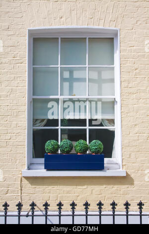 Fenster im Stadtteil Notting Hill (London). Stockfoto