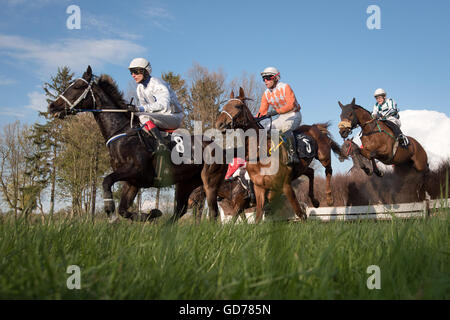 WROCLAW, POLEN - 24 APRIL; 2016: Rennen mit Zäunen für 4-jährige Pferde eine Rennbahn WTWK Partynice. Stockfoto