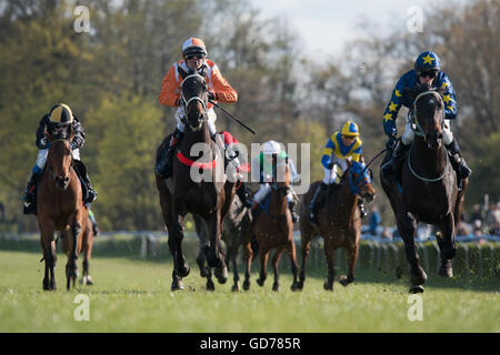 WROCLAW, POLEN - 24 APRIL; 2016: internationale Rennen für 3-jährige Pferde Gruppe III in der Rennbahn WTWK Partynice. Stockfoto