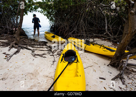 Mann in karibische Meer trug eine Maske und Schnorchel neben gelben Kajaks, Spanisch Lagune, Aruba. Stockfoto