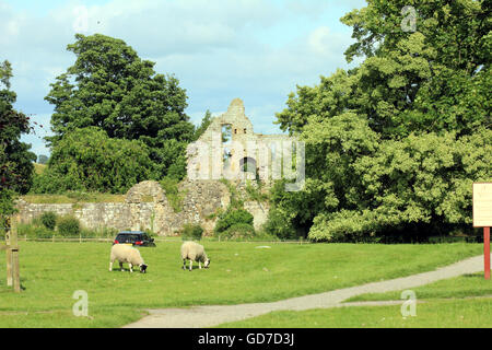 Jervaulx Abbey Zisterzienser Kloster in Yorkshire Dales Stockfoto