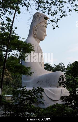 Der Kodaiji Tempel in Kyoto, Japan. Blick auf die große sitzende Buddha-statue Stockfoto