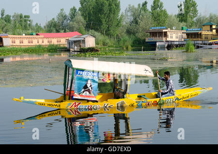 Shikara, Ruderboot am See Dal, Srinagar, Indien, Stockfoto