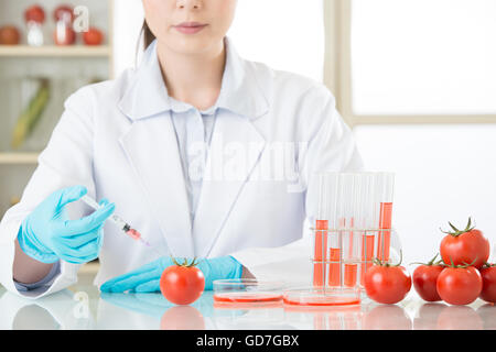 Asiatische Wissenschaftlerin GVO Tomaten für die menschliche Gesundheit im Labor testen Stockfoto