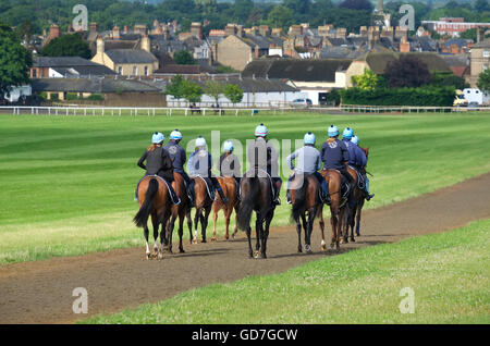 die Galoppaden in Newmarket, Suffolk, england Stockfoto