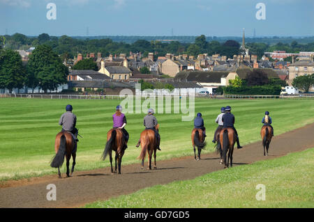 die Galoppaden in Newmarket, Suffolk, england Stockfoto