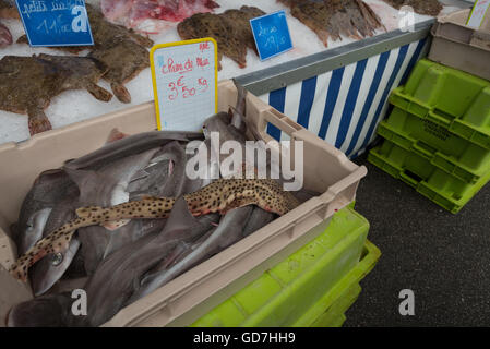 Eine Vielzahl von frisch gefangenen Fisch zum Verkauf an die Etals de Poissons / Fischmarkt. Boulogne, Frankreich. Stockfoto