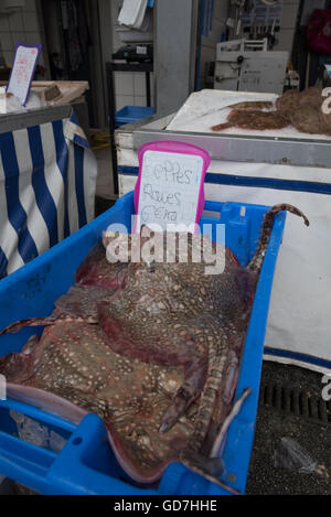 Eine Vielzahl von frisch gefangenen Fisch zum Verkauf an die Etals de Poissons / Fischmarkt. Boulogne, Frankreich. Stockfoto