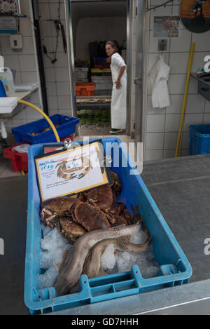 Eine Vielzahl von frisch gefangenen Fisch zum Verkauf an die Etals de Poissons / Fischmarkt. Boulogne, Frankreich. Stockfoto