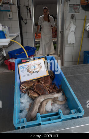 Eine Vielzahl von frisch gefangenen Fisch zum Verkauf an die Etals de Poissons / Fischmarkt. Boulogne, Frankreich. Stockfoto