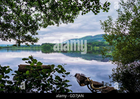 Blick durch die Bäume auf Inchmahome Insel über die Reflexionen auf See von Menteith - einzige See Schottlands Stockfoto