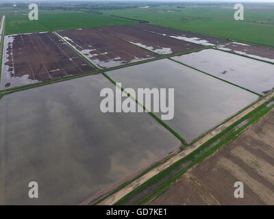 Überfluteten Reisfeldern. Agronomischen Methoden der Reisanbau in den Bereichen. Überschwemmung der Felder mit Wasser in die Reis ausgesät. Blick f Stockfoto