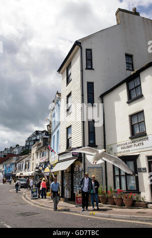 Brixham Devon, uk, Torbay, Brixham, Küste, Küste, Stadt, Land, weiß, am Meer, Anker, Reisen, Seile, Attraktion, Süd, Kai, Stockfoto