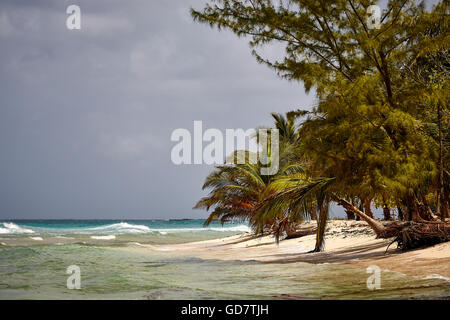 Garnison Bereichen Bridgetown Goldstrand sauber schöne Karibische Meer South West Coast Resort Strandblick Barbados Küste unab Stockfoto