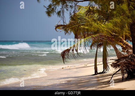 Garnison Bereichen Bridgetown Goldstrand sauber schöne Karibische Meer South West Coast Resort Strandblick Barbados Küste unab Stockfoto