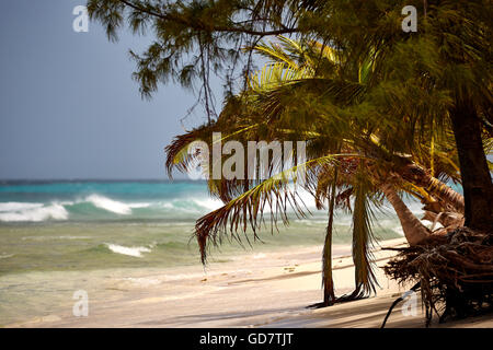 Garnison Bereichen Bridgetown Goldstrand sauber schöne Karibische Meer South West Coast Resort Strandblick Barbados Küste unab Stockfoto