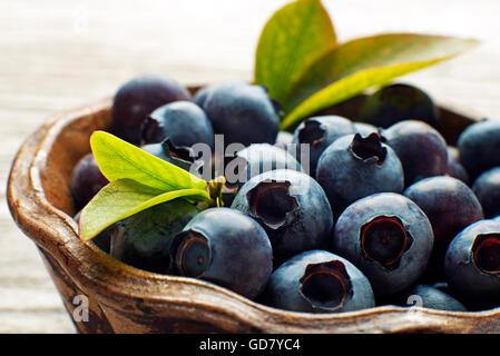 Frisch gepflückte Heidelbeeren in Schüssel hautnah Shooting Stockfoto