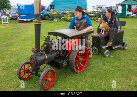 Mann fahren eine Modell Burrell Zugmaschine mit einer Frau und Bull Terrier Hund auf einem Anhänger Roxby Cleveland Heritage Wochenende 2016 Stockfoto