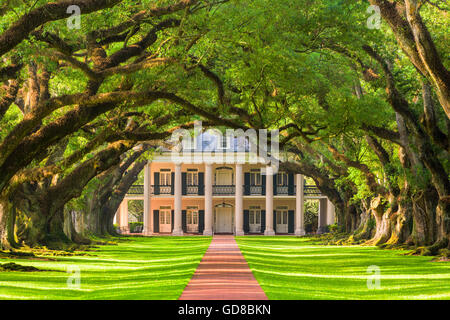 Oak Alley Plantation in Vacherie, Louisiana, USA. Stockfoto