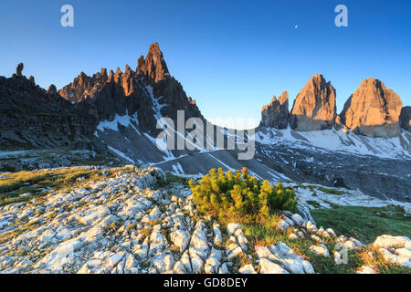 Dawn beleuchtet die drei Zinnen von Lavaredo und montieren Paterno Sextner Dolomiten Trentino Alto Adige Italien Europa Stockfoto