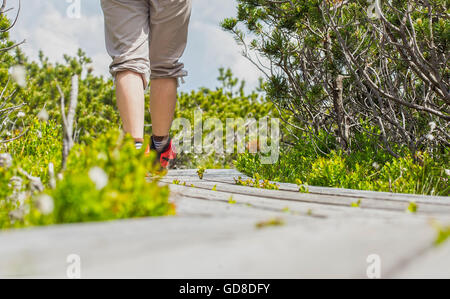 Frau ist auf einem hölzernen Pfad gehen. Stockfoto