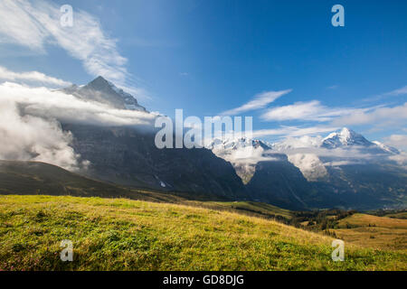 Blick auf Mount Eiger vom ersten Grindelwald Berner Oberland Kanton Bern-Schweiz-Europa Stockfoto