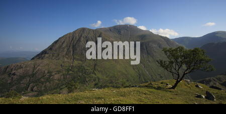 Ben Nevis, der höchste Berg in Großbritannien, gesehen von Sgùrr ein "Mhàim im Glen Nevis. Stockfoto
