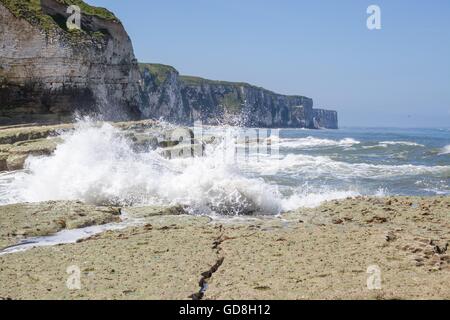 Flamborough Head, Chalk stack und Klippen mit Blick auf die Nordsee im Sommer, Yorkshire, Vereinigtes Königreich Stockfoto