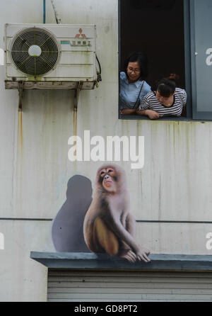 Changxing, China Zhejiang Provinz. 13. Juli 2016. Dorfbewohner betrachten Sie ein 3D Bild an der Wand eines Hauses in Beitang Dorf von Changxing County, Ost-China Zhejiang Provinz, 13. Juli 2016. Die 3D Bilder wurden von einer Gruppe von Künstlern aus Ost-China Shanghai Municipality erstellt. © Xu Yu/Xinhua/Alamy Live-Nachrichten Stockfoto