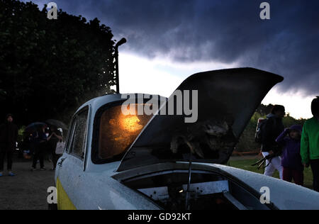 Hannover, Deutschland. 13. Juli 2016. Eine Taucher Figur sitzt in einem überschwemmten Auto als Teil einer Performance des Künstlers "Exoot" bei der Premiere von "Kleines Fest Im Grossen Garten" in den Herrenhäuser Gärten in Hannover, Deutschland, 13. Juli 2016. Eine Gewitter mit Blitz und Donner, Regen und Sturm verursacht die Beendigung des ersten abends des Kunstfestivals. Foto: Julian Stratenschulte/Dpa/Alamy Live News Stockfoto