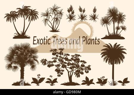 Palmen, Blumen und Rasen-Silhouetten Stock Vektor