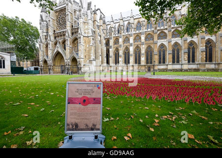 Mohnblumen auf dem Rasen vor Westminster Abby zum Gedenken an die Gefallenen in der Schlacht an der Somme Stockfoto