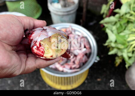 Frosch Hacken zum Garen von Lebensmitteln in thailändischen Markt Stockfoto