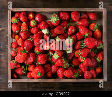 Frischer Saft reife Erdbeeren in Holzbox in dunklem Holz. Ansicht von oben Stockfoto