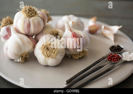 Teller mit Knoblauch Blubs mit Steinsalz Himalaya Pink und rosa und schwarze Pfefferkörner. Stockfoto