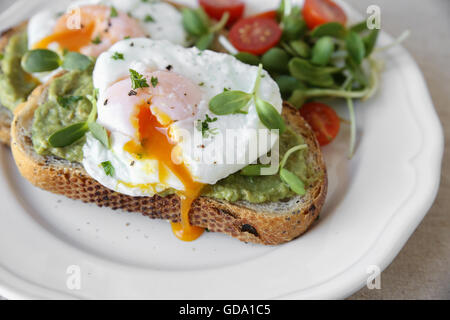 Spiegeleiern mit Avocado, Tomaten und Sonnenblumen sprießen auf Sauerteig Toast Stockfoto