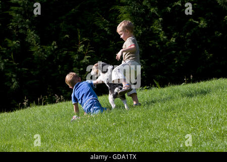 Rauhhaar Foxterrier, Jungs spielen mit Hund Stockfoto