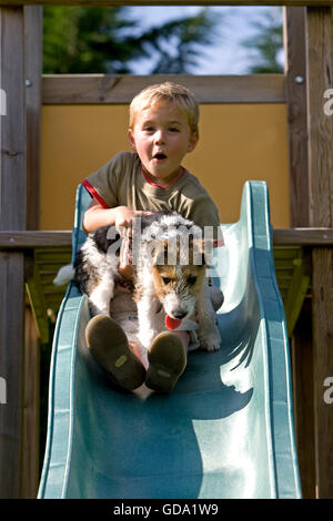 Rauhhaar Foxterrier Welpen, junge und Hund spielen auf Folie Stockfoto