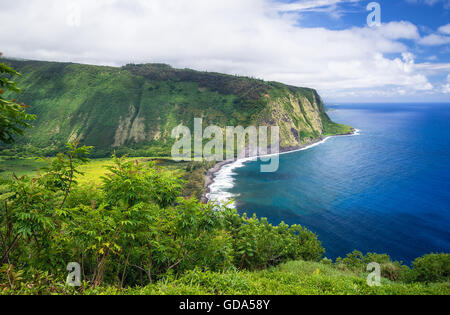 Waipio Valley Lookout Blick auf Big Island, Hawaii Stockfoto