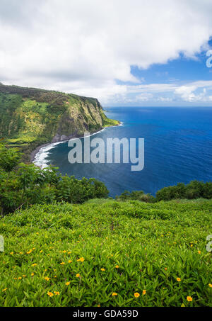 Waipio Valley Lookout Blick auf Big Island, Hawaii Stockfoto