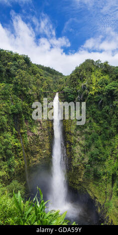 Akaka Wasserfälle auf Big Island, Hawaii Stockfoto