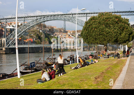 Menschen entspannen Sie am Park Rasen am Douro-Fluß in Vila Nova De Gaia und Porto in der Nähe von Dom Luis I Brücke, Wahrzeichen der Stadt Stockfoto