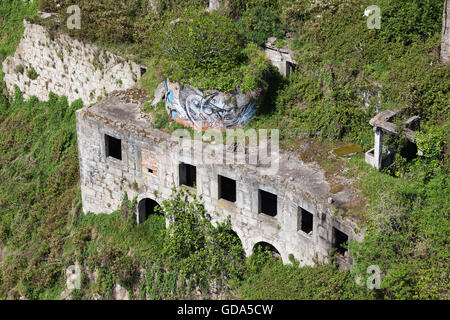 Verlassene alte Steingebäude, umgeben von grünen Pflanzen in Porto, Portugal Stockfoto